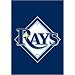 Tampa Bay Rays Garden/Window Flag