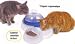 Hagen Catit Drinking Fountain (14x10x7 - drinking fountain)