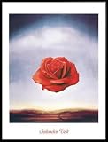 Salvador Dali Poster Art Print and Frame (Plastic) - Rose Meditative (32 x 24 inches)