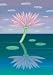 Lotus Flower Growing out of Water - 18