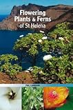 Flowering plants & ferns of St Helena