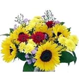 Sun Splash Fresh Flower Bouquet