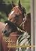 Book Three Strides Before The Wire: The Dark and Beautiful World of Horse Racing