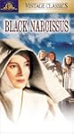 Black Narcissus