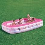 Color Baby Piscina Princesas Hinchabl...