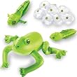 INFLATABLE FROG LIFE CYCLE