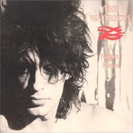 The Waterboys Foto 8