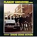 Shake Some Action: The Essential Flamin' Groovies