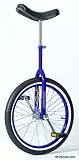 Sun, 20, Steel, Blue Unicycle
