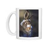 Mountain hare Photo Mugs