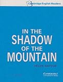 In the Shadow of the Mountain: Level 5