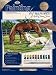 11 Inch x14 Inch Paint By Number Kit - Horses In Field