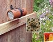 Mason Bee Nest Gift Pack