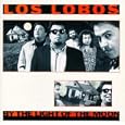 Los Lobos Shakin' Shakin' Shakes