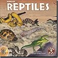 World of Reptiles by 6127