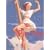 The Great American Pin-up (Midi)