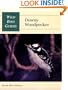 Wild Bird Guide: Downy Woodpecker (Wild Bird Guides)