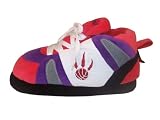 Toronto Raptors
