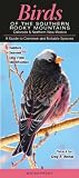Birds of the Southern Rocky Mountains (Common and Notable Species)