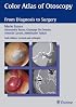Color Atlas of Otoscopy: From Diagnosis to Surgery