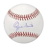 Ozzie Smith St. Louis Cardinals Baseball