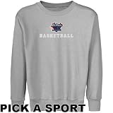 DePaul Blue Demons Youth Ash Custom Sport Logo Applique Crew Neck Fleece Sweatshirt (Medium)