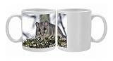 Fat Dormouse - in a apple tree Photo Mugs
