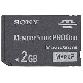 Sony 2GB Memory Stick PRO Duo Memory Card Retail Pack 415Q 1i%2Bg2L. SL500 AA280 Sony 2GB Memory Stick PRO Duo Memory Card Retail Pack