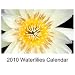 2010 Waterlilies Calendar