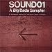 Sound 01: Big Dada Sampler