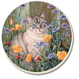 Forget Me Not Cat Round Stone Coaster Set