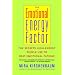 The Emotional Energy Factor: The Secrets High-Energy People Use to Beat Emotional Fatigue