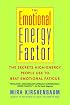 The Emotional Energy Factor: The Secrets High-Energy People Use to Beat Emotional Fatigue