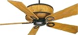 Fanimation Ceiling Fans Alamosa Model FP3820RP-220 in Rustic Resin. Indoor fan.