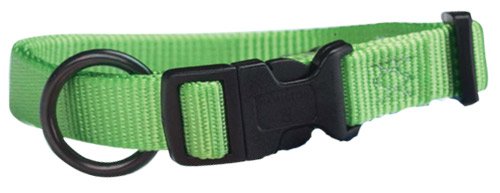 HAMILTON NYLON 18-26 IN ADJUSTABLE DOG COLLAR LIME
