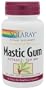Solaray - Mastic Gum Extract, 500mg, 45 capsules