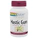 Solaray - Mastic Gum Extract, 500mg, 45 capsules