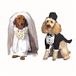 Bride Dog Pet Costume XS