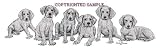 Weimaraner - Puppies in a Row by Cindy Farmer