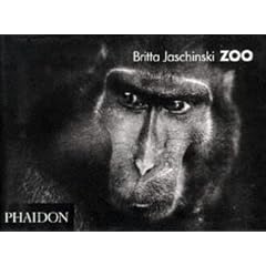 Zoo