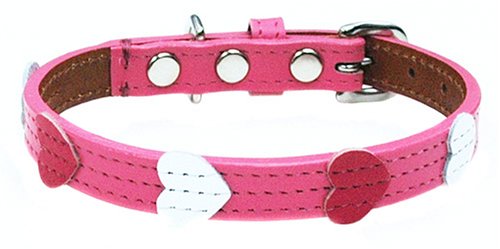 BIRDIE フレッシュハートカラー 32 (L) ピンク 125