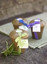 Herb Trio in Rice Hull Pots, Eco-Friendly - Parsley, Lemon Basil and Chive Herb Pots