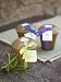 Herb Trio in Rice Hull Pots, Eco-Friendly - Parsley, Lemon Basil and Chive Herb Pots