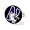 Northwestern Wildcats