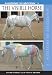 Search Our Specialty Mall : Anatomy in Motion: Visible Horse with Susan Harris