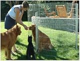 Dog Exercise Pen Gold - 24