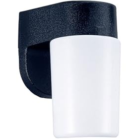 Sea Gull Lighting 8909PBLE-12 Single-Light Fluorescent Outdoor Wall Fixture with Acrylic... by Sea Gull Lighting
