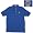 Florida Gators NCAA 