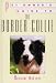 BORDER COLLIE (Pet Owner's Guide)