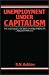 Book Unemployment Under Capitalism: The Sociology of British and American Labour Markets (Contributions in Economics and Economic History)